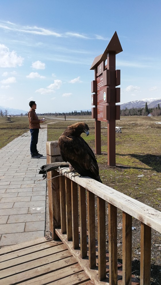 那拉提风景区 那拉提草原风景区------位于新疆伊犁州新源县境内，是世界四大草原之一的亚高山草甸植