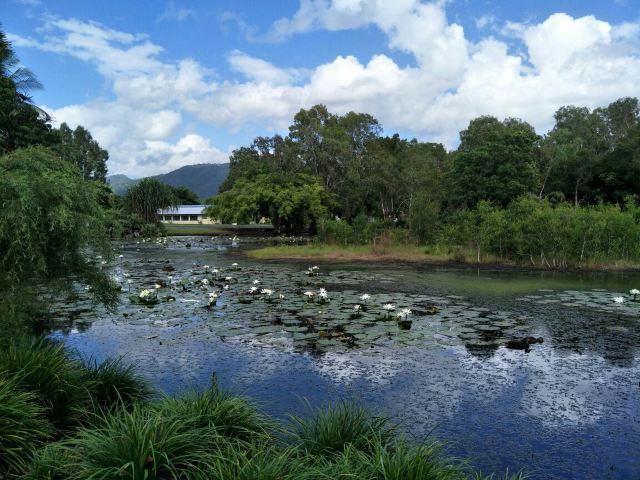 Cairns Botanic Gardens