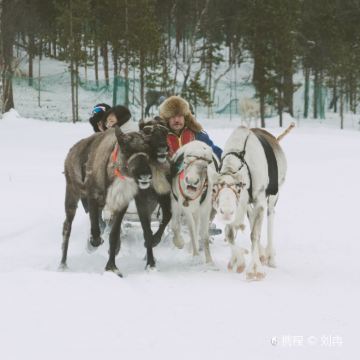 俄罗斯摩尔曼斯克+捷里别尔卡4日3晚拼小团