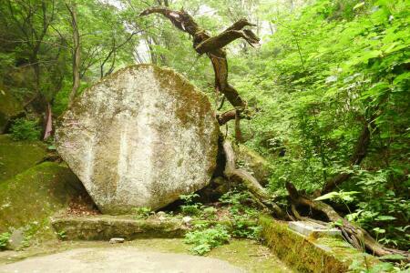 龙泉森林公园景观