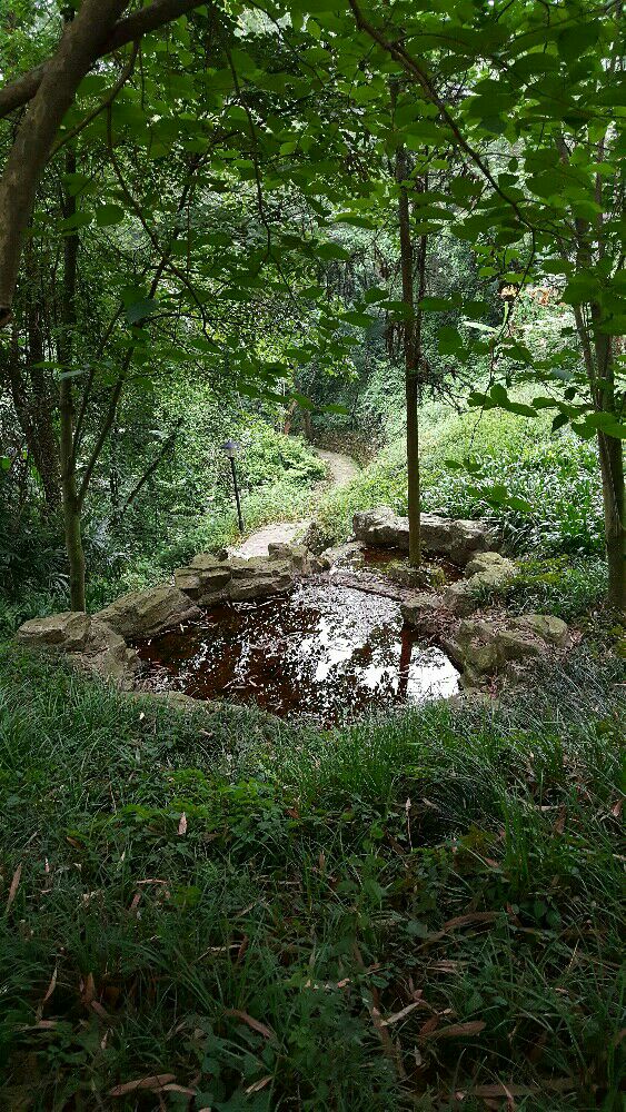 五龙谷耍水一日游