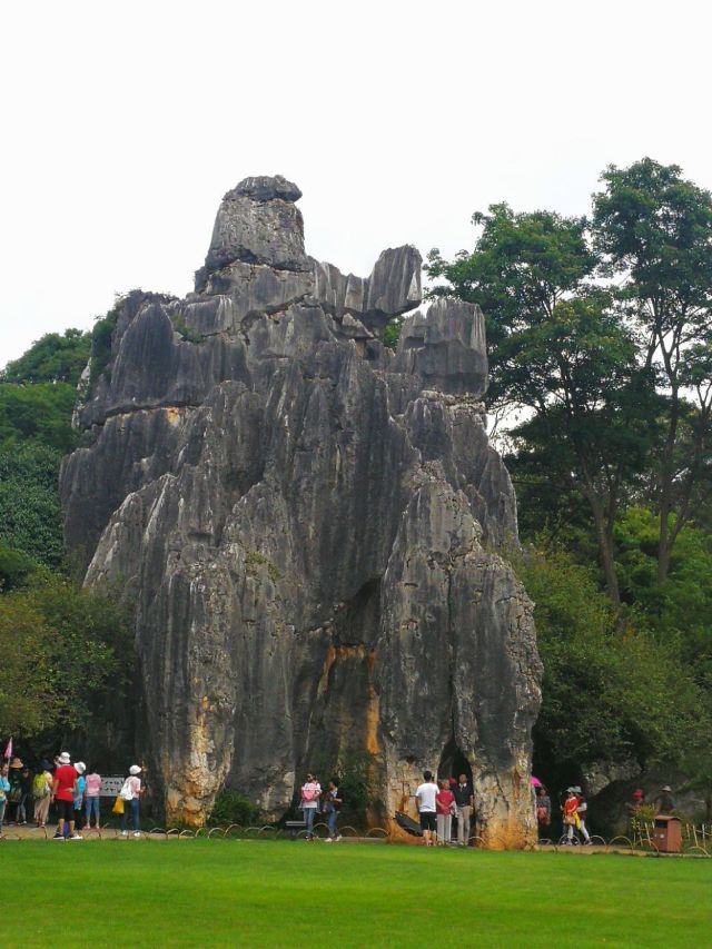 Stone Forest