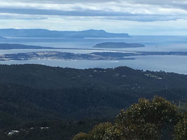 威靈頓山