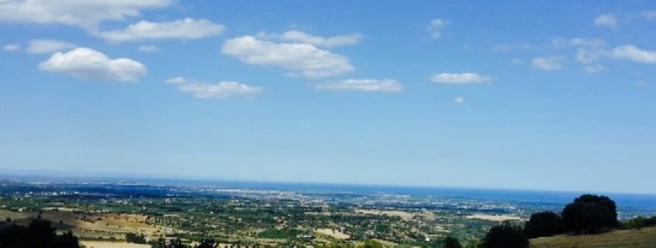 Pizzeria Bellacicco餐厅图片