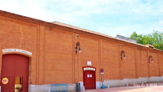 Bullfighting Museum