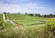 德阳旅游图片-罗江1日游