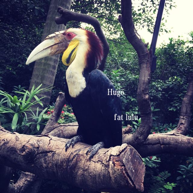Chimelong Bird Park