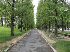 花博纪念公园鹤见绿地-守口市-doris圈圈