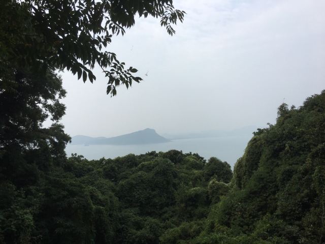 노코노시마