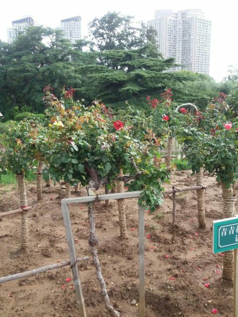 咱家炖菜馆(建新路店)