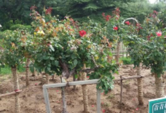 咱家炖菜馆(建新路店)美食图片