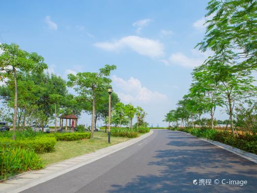 海鸥岛