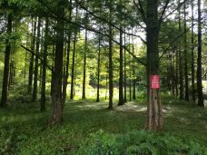 黎平国家森林公园-黎平-YoYo_8A1S3C9B