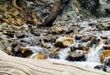 Freemon's General Store美食图片