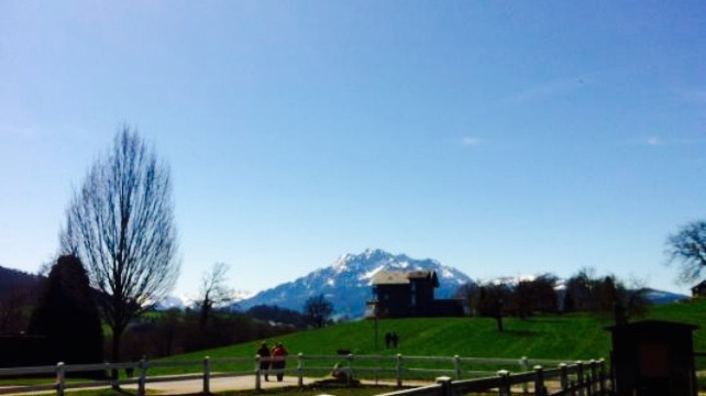 Wirtschaft Trumpf-Buur