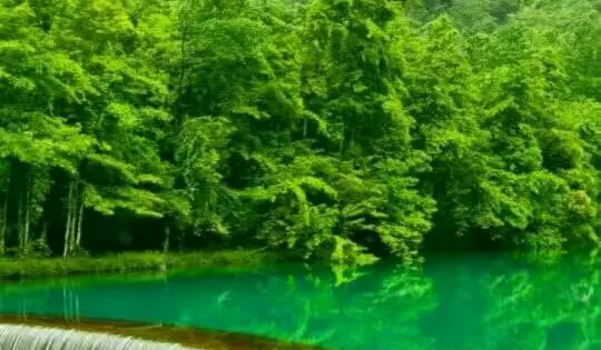 銅鈴山國家森林公園