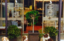 Blend Cafe餐厅图片