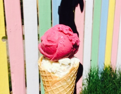 Scoops and Snacks餐厅图片