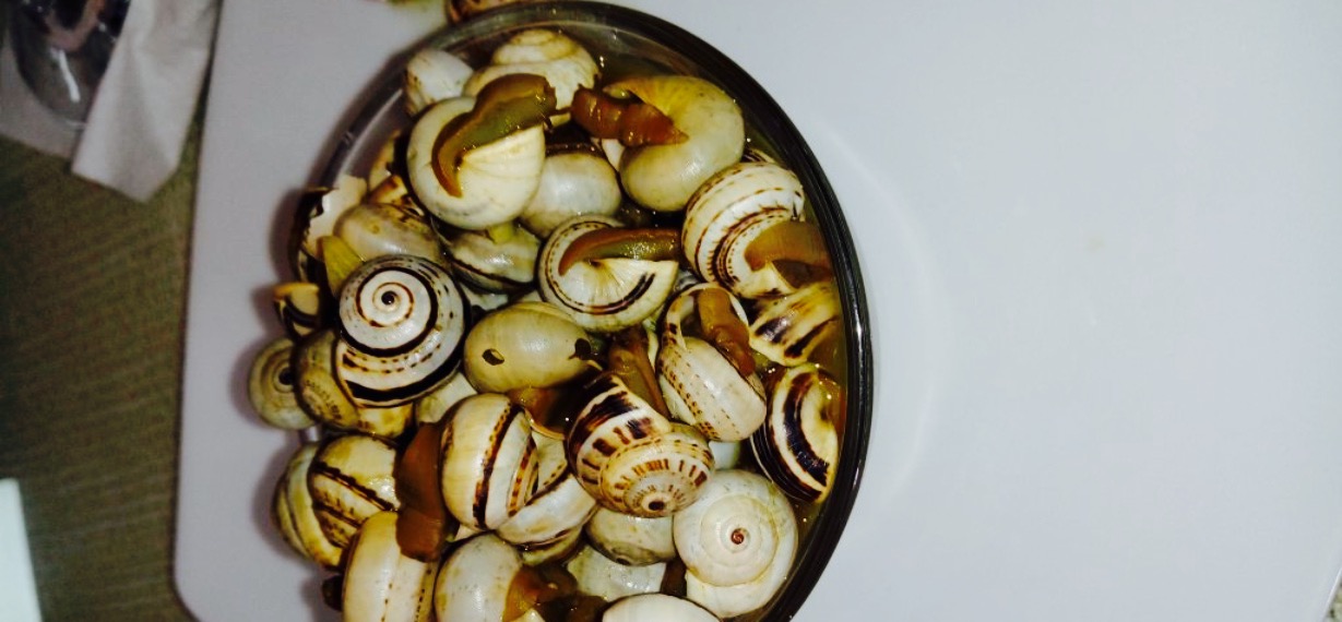 Pension Restaurante Isidro