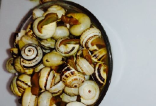 Pension Restaurante Isidro美食图片