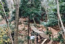 Higashitanzawa Green Park景点图片