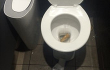 McDonald's餐厅图片