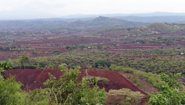 Rhotia Valley's Coffee Corner