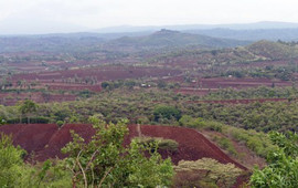 Rhotia Valley's Coffee Corner