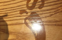 Chili's Grill & Bar餐厅图片