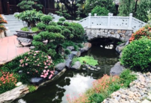 Nha Vien Restaurant美食图片