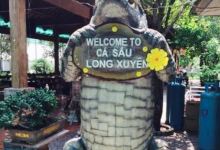 Tra Ca SauLong Xuyen美食图片