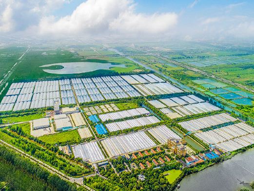 中洋河豚庄园