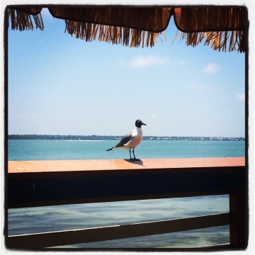 Maggie Mae's Sunrise Cafe