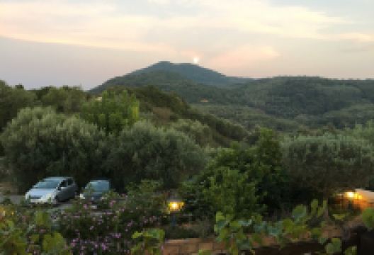 Archontiko美食图片