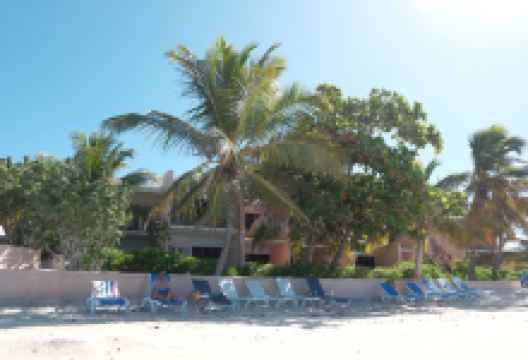 Osprey Beach Hotel Restaurant美食图片