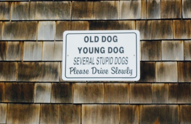 The Dog House餐厅图片