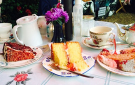 Jane's Enchanted Tea Garden