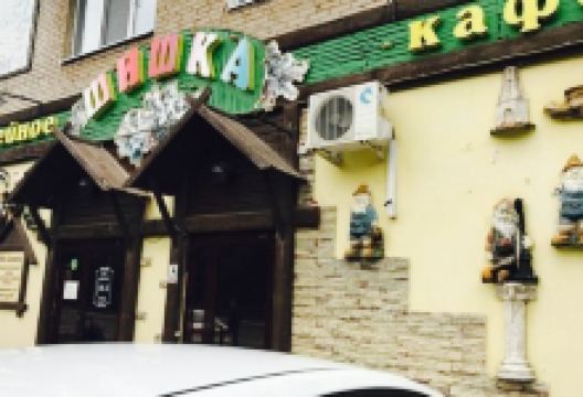Shishka美食图片