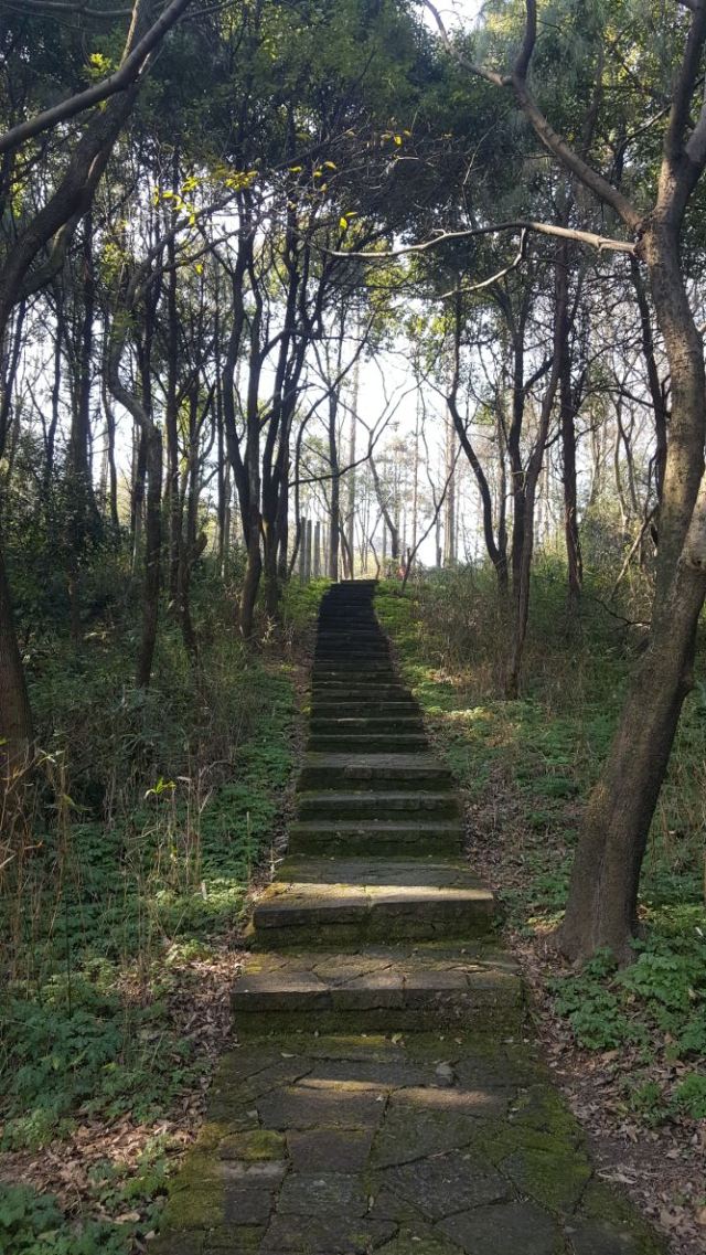다펑산 셴포구 관광지구
