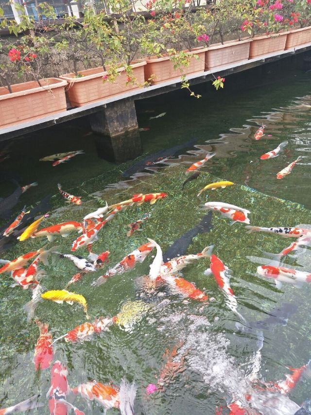 Yuntai Garden