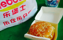 乐堡士·汉堡炸鸡(常屯乡店)餐厅图片