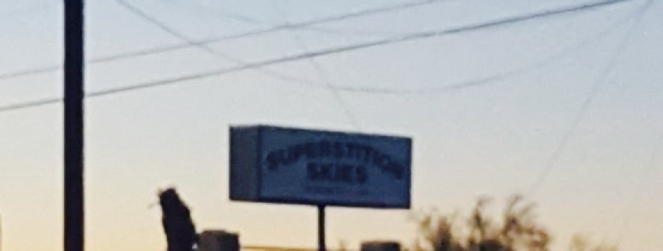 Superstition Skies Bar and Grill餐厅图片