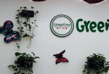 Green Food美食图片