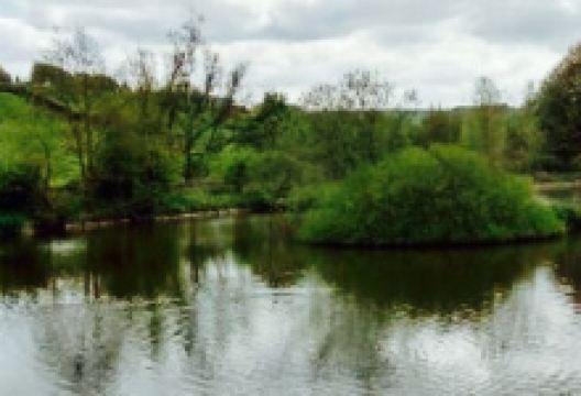 Lakeside Cafe美食图片