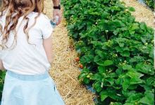 Weybridge Garden Centre购物图片