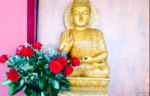Machan Indian Restaurant餐厅图片