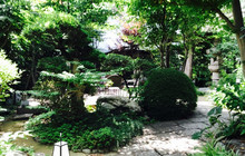 Soba Restaurant Kunisaku餐厅图片