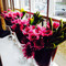 Woburn Thai