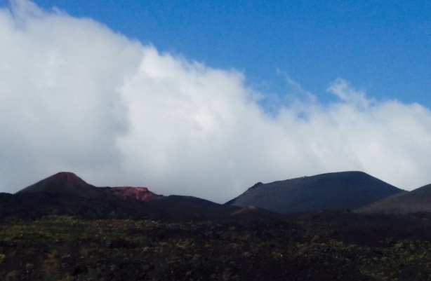 El Jardin de la Sal餐厅图片