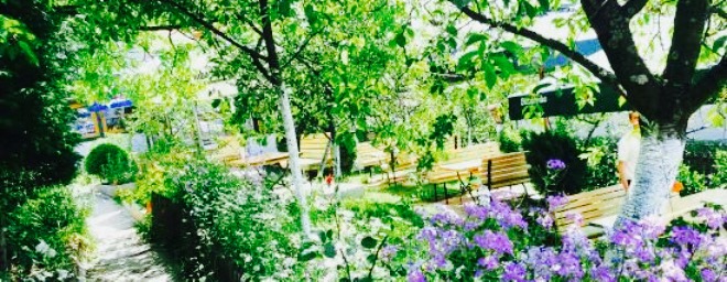 Basca Kod Ene餐厅图片